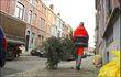 Liège: récolte des sapins